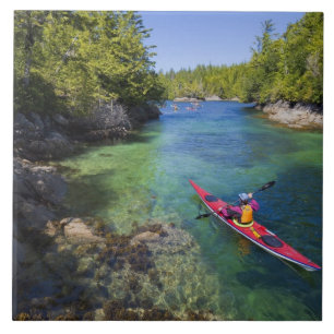 Canada, British Columbia, Vancouver Island. Sea Tile