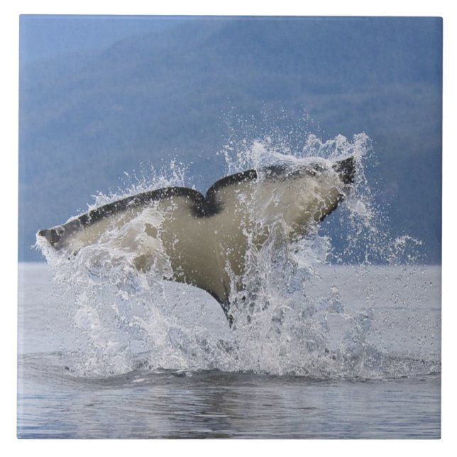 Canada, British Columbia, Vancouver Island, Tile (Front)