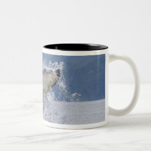 Canada, British Columbia, Vancouver Island, Two-Tone Coffee Mug