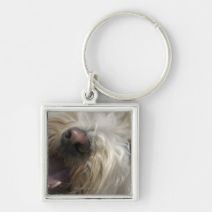 Canada, British Columbia, Vancouver Key Ring