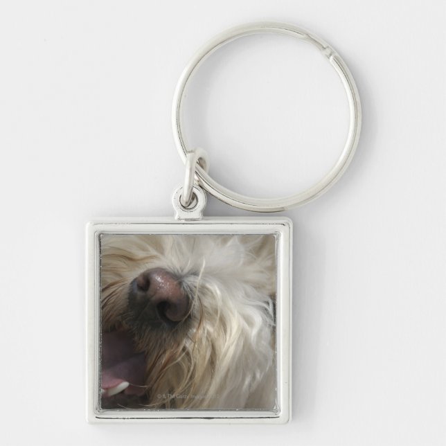 Canada, British Columbia, Vancouver Key Ring (Front)