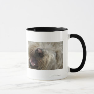 Canada, British Columbia, Vancouver Mug