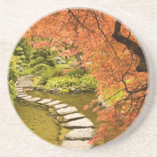 CANADA, British Columbia, Victoria. Autumn Coaster