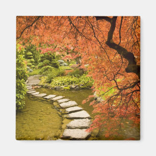 CANADA, British Columbia, Victoria. Autumn Magnet