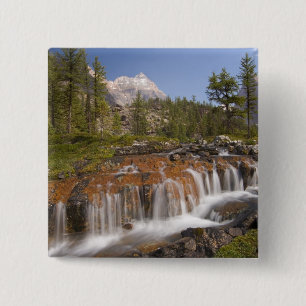 Canada, British Columbia, Yoho National Park. 2 15 Cm Square Badge