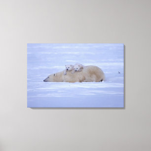 Canada Canvas Print