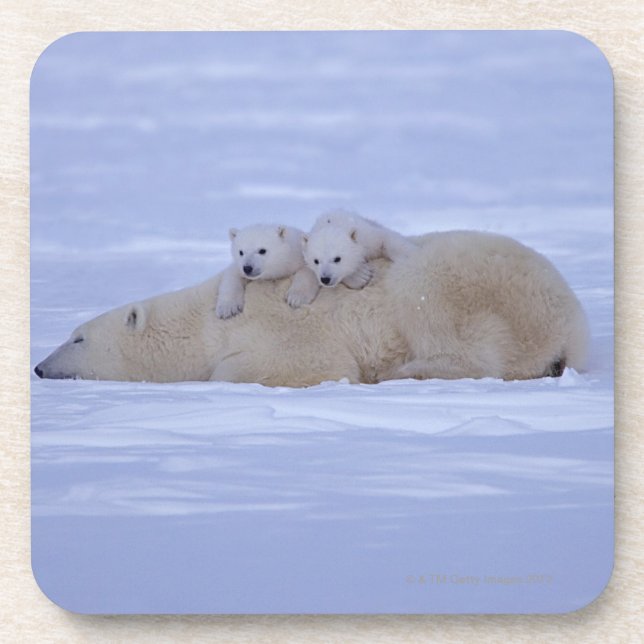 Canada Coaster (Front)