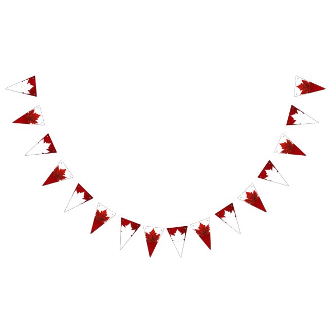 Canada Day Bunting Banners Canada Decorations  (All)