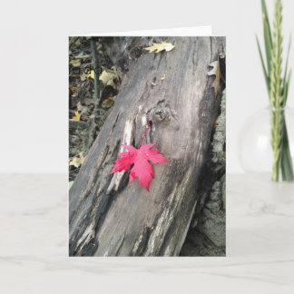Canada Day Card