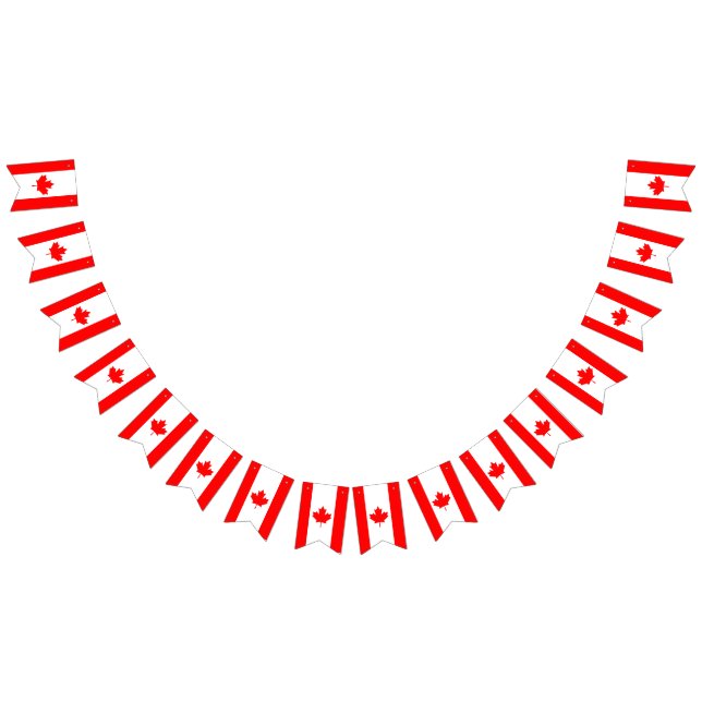 CANADA FLAG bunting banner (All)