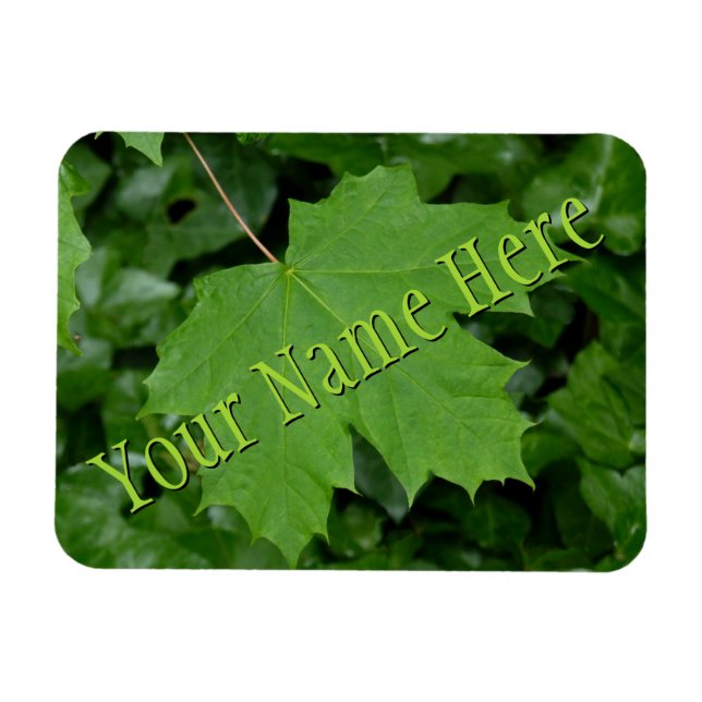 Canada Fridge Magnet Summer Canada Souvenir Magnet (Horizontal)