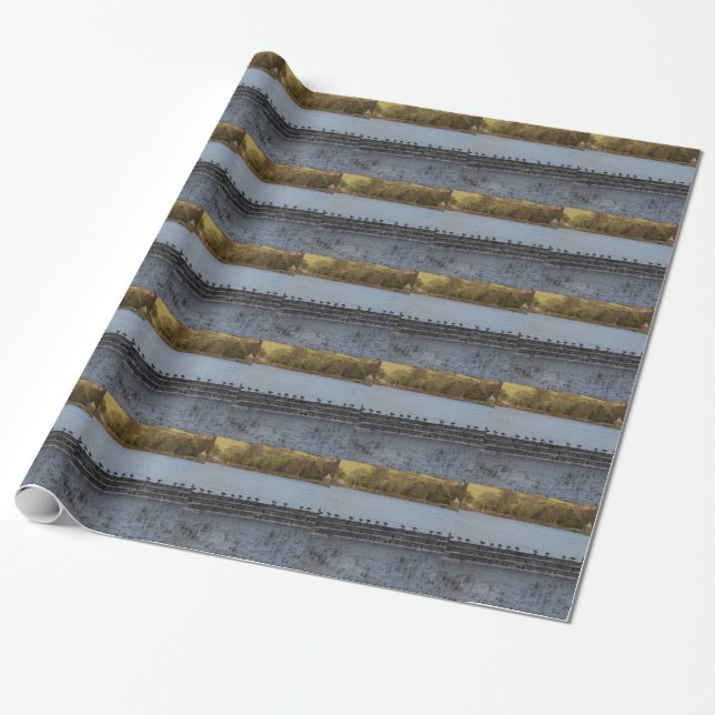 Canada Geese All In A Row Wrapping Paper (Unrolled)