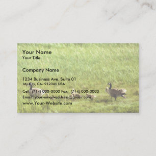 Canada geese and brood business card