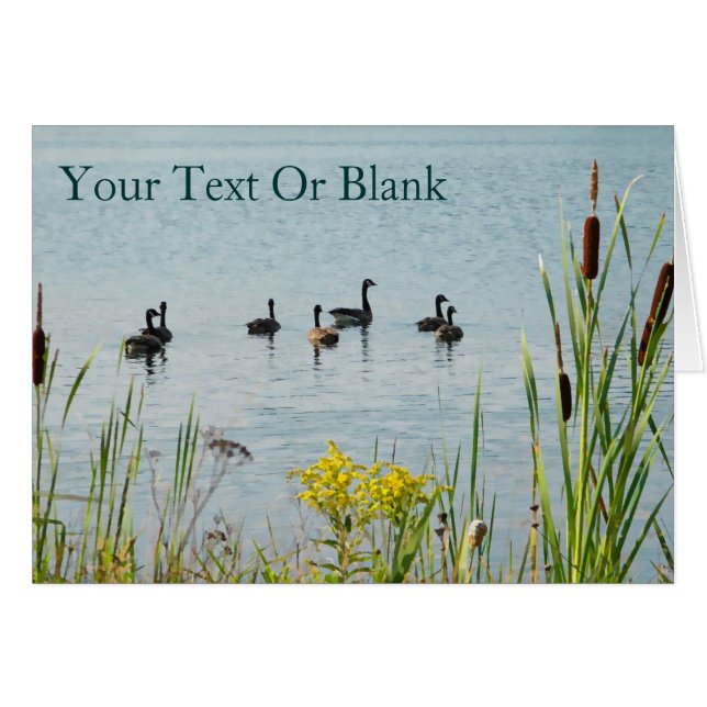 Canada Geese And Cattails (Front Horizontal)