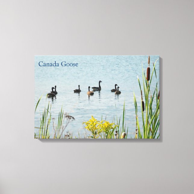 Canada Geese And Cattails Canvas Print (Front)