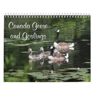 Canada Geese and Goslings Calendar