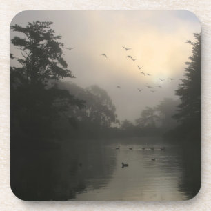 Canada Geese and Morning Fog Coaster