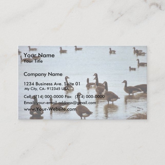 Canada geese at an Ohio wetland area Business Card (Front)