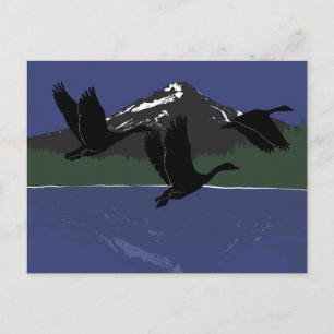 Canada Geese Flying Over Mountain Lake Wilderness  Postcard