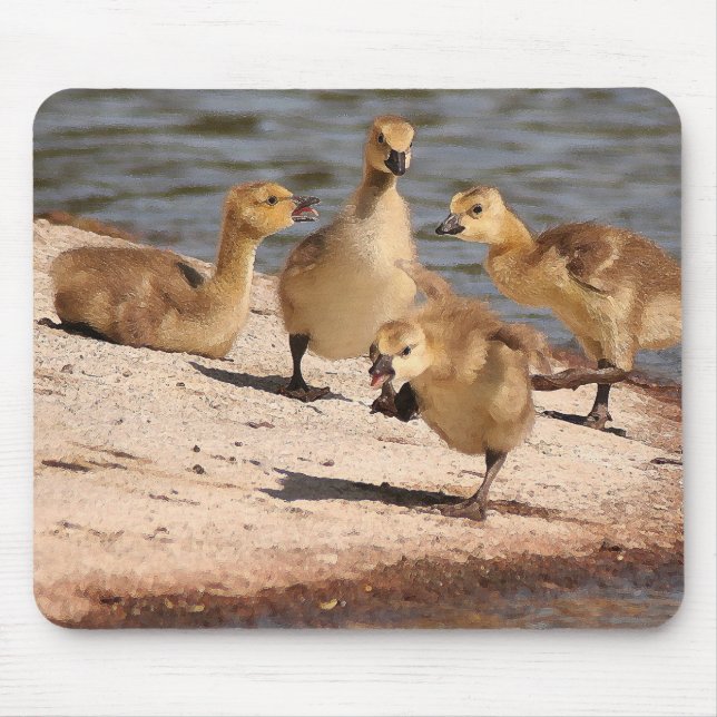Canada Geese Goslings Mousepad (Front)