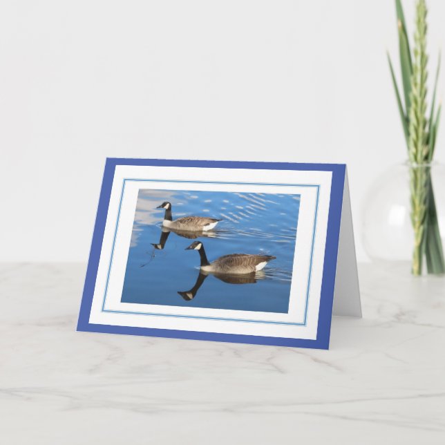 Canada Geese Greetings Card (Front)