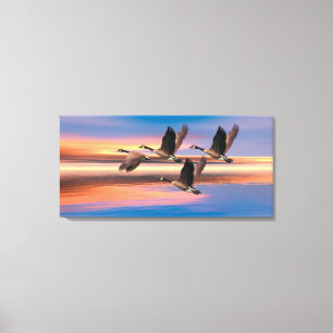 Canada Geese image for Canvas Art