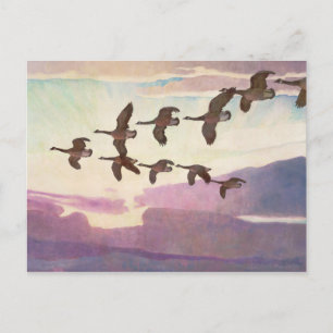 Canada Geese in Spring by Newell Convers Wyeth Postcard