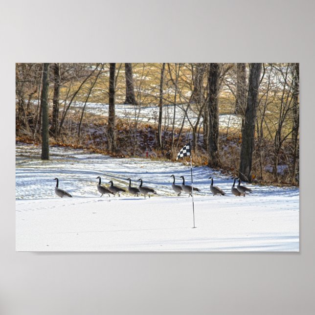 Canada Geese on a Snow-Covered Golf Course Poster (Front)