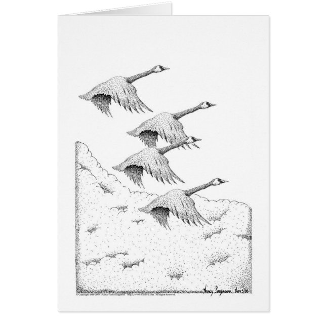 Canada Geese Pen and Ink (Front)