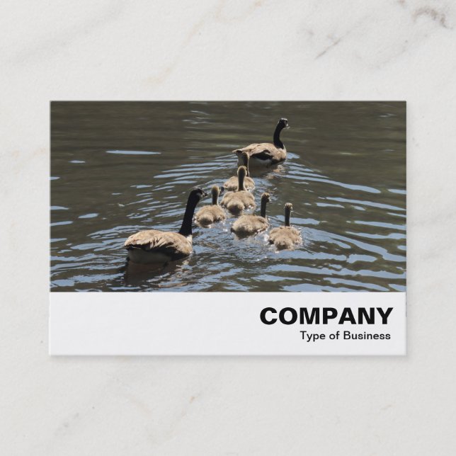 Canada Geese with Goslings Business Card (Front)