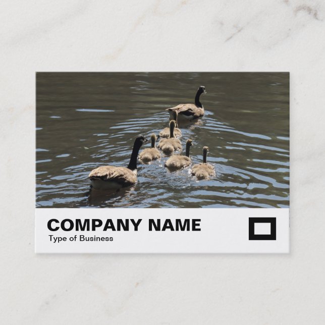 Canada Geese with Goslings Business Card (Front)