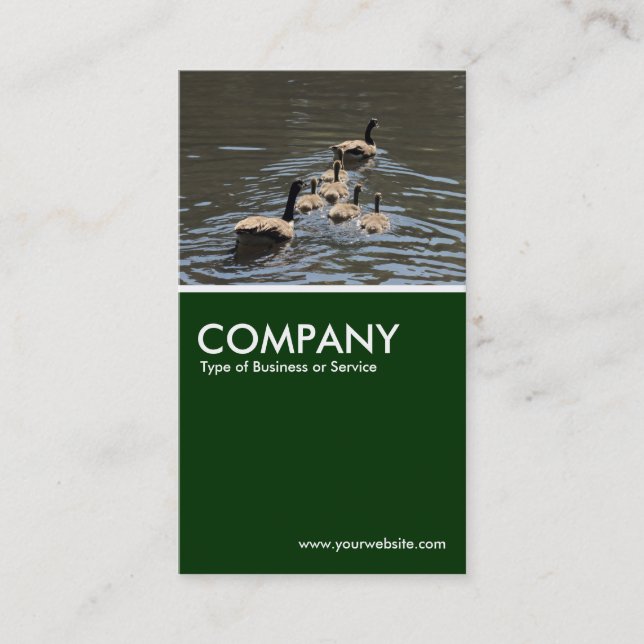 Canada Geese with Goslings - Dark Green Business Card (Front)