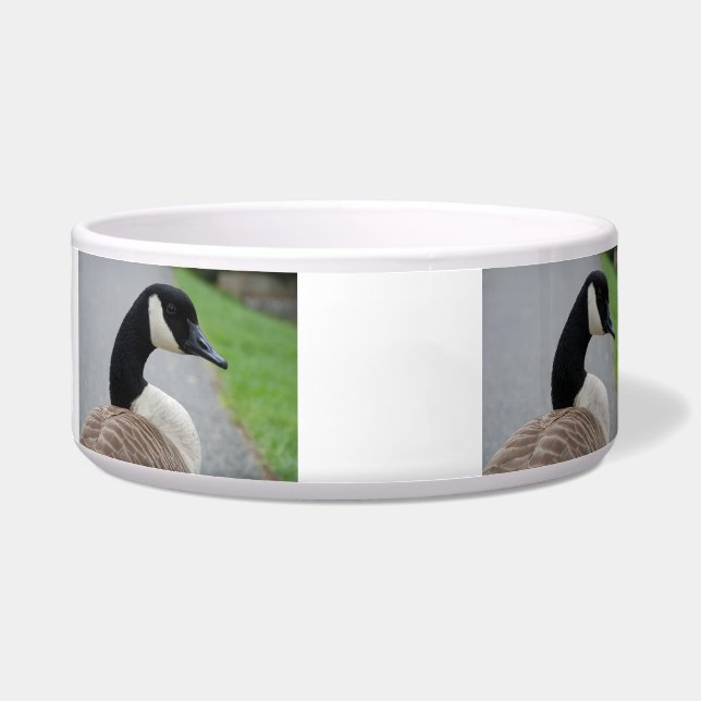 Canada goose (Left)