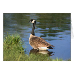 Canada Goose Animal Art Card