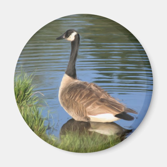 Canada Goose Animal Art Magnet (Front)