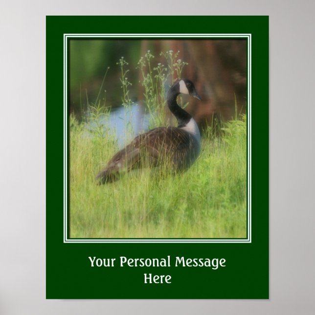 Canada Goose Animal Personalised Poster (Front)