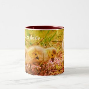 Canada Goose Babies Nature Art Personalized Two-Tone Coffee Mug