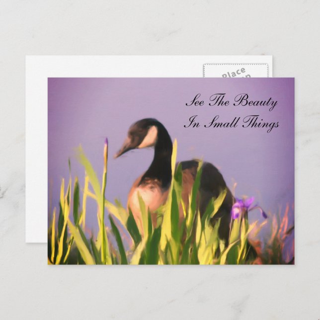 Canada Goose Beauty Inspirational  Postcard (Front/Back)