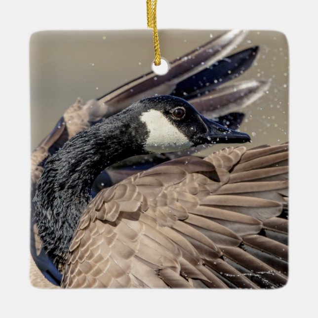 Canada Goose Ceramic Ornament (Front)