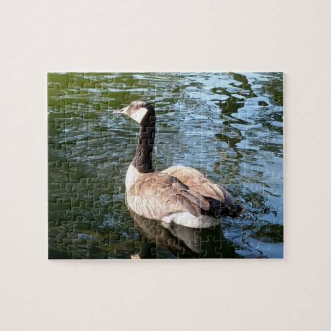 Canada Goose Closeup Jigsaw Puzzle (Horizontal)