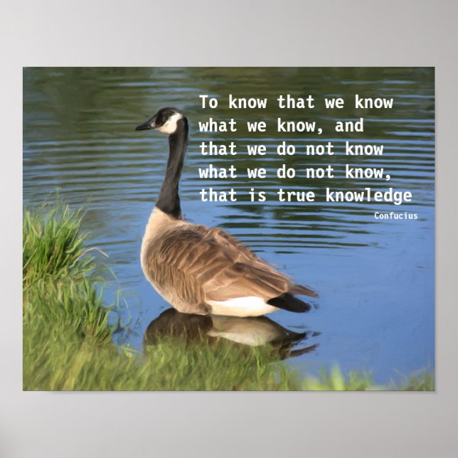 Canada Goose Confucius Knowledge Quote Poster (Front)
