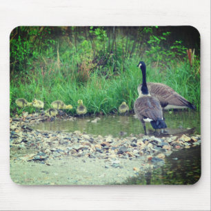 Canada Goose Family Babies Nature  Mouse Pad