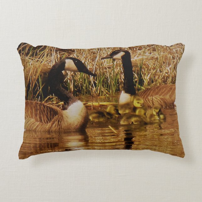 Canada Goose Family Cute One Day Old Goslings Decorative Cushion (Front)