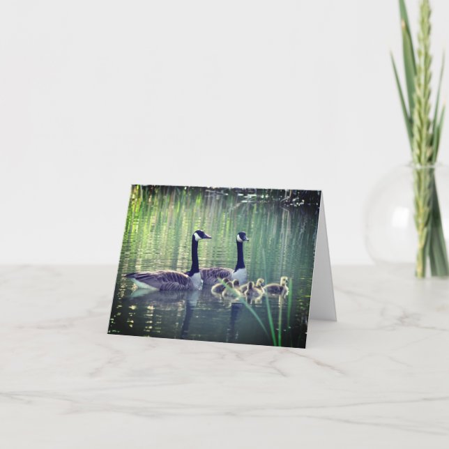 Canada Goose Family Nature Note Card (Front)