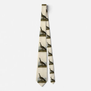 Canada Goose from Audubon's Birds of America Tie