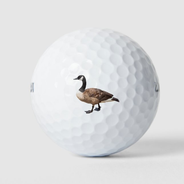 Canada Goose Golf Balls (Front)