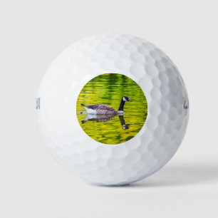 Canada Goose Golf Balls