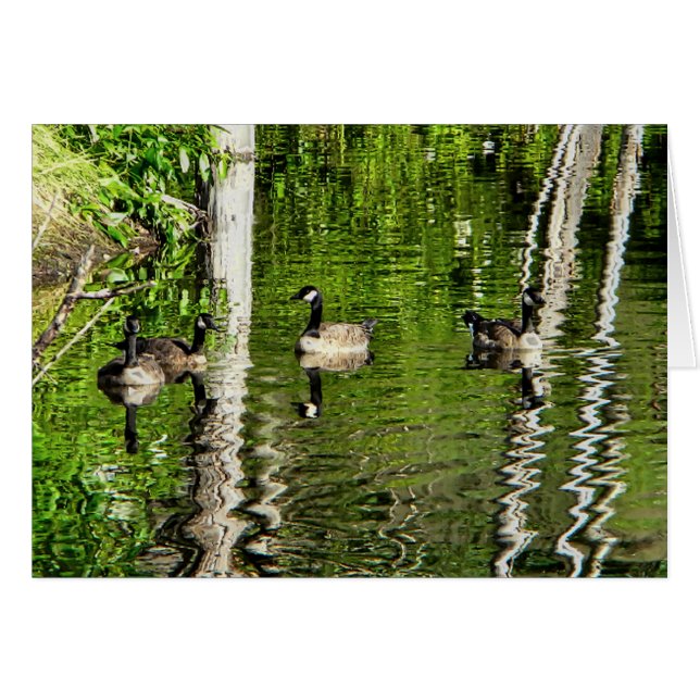 (Canada) Goose Green (Front Horizontal)