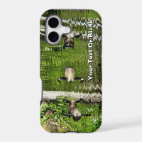 (Canada) Goose Green