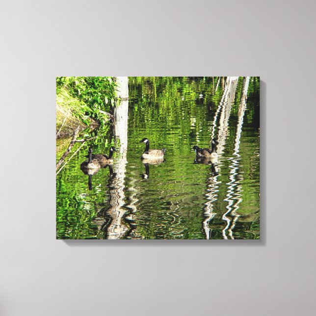 (Canada) Goose Green Canvas Print (Front)